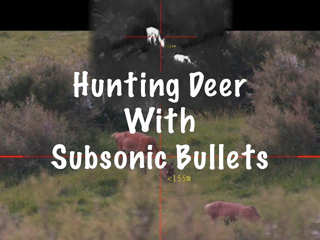 Hunting Deer with Subsonic 8.6 BLK and PARD TD32