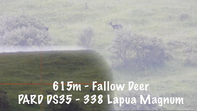 PARD DS35 Long Range Deer - 615m with a 338 Lapua Magnum