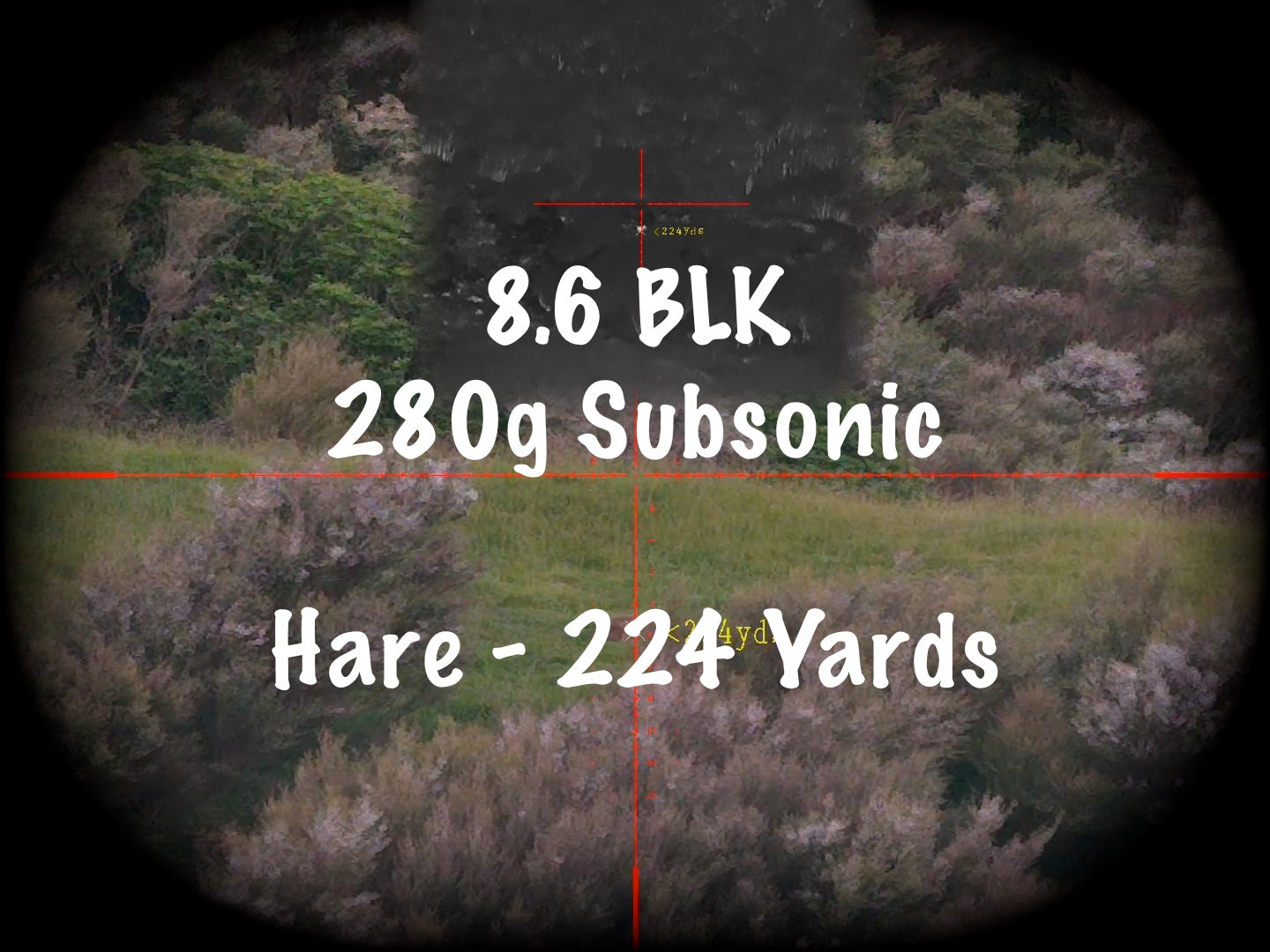 8.6 Blackout Subsonic vs Hare at 224 Yards with a PARD TD32